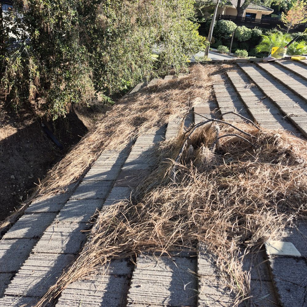 roof loaded up with pine needles also filling gutter