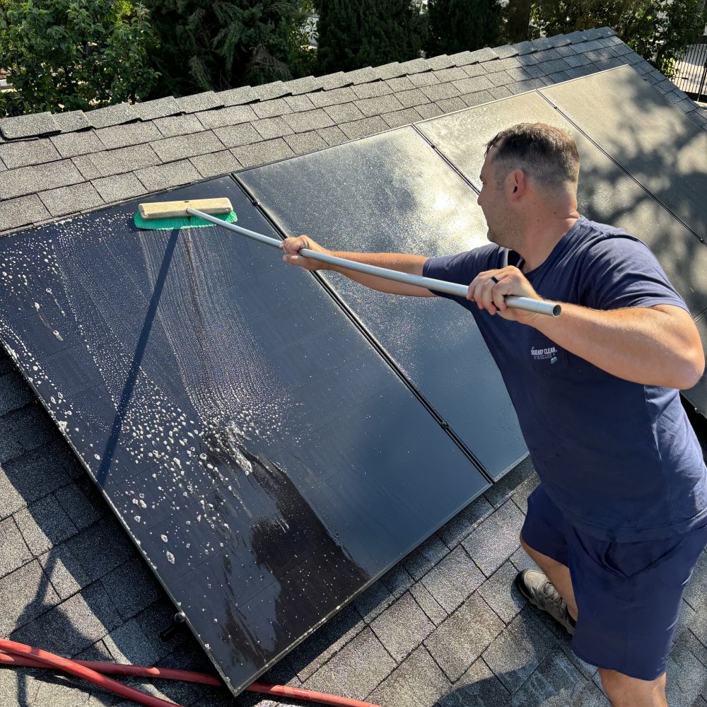 Solar panel cleaning service
