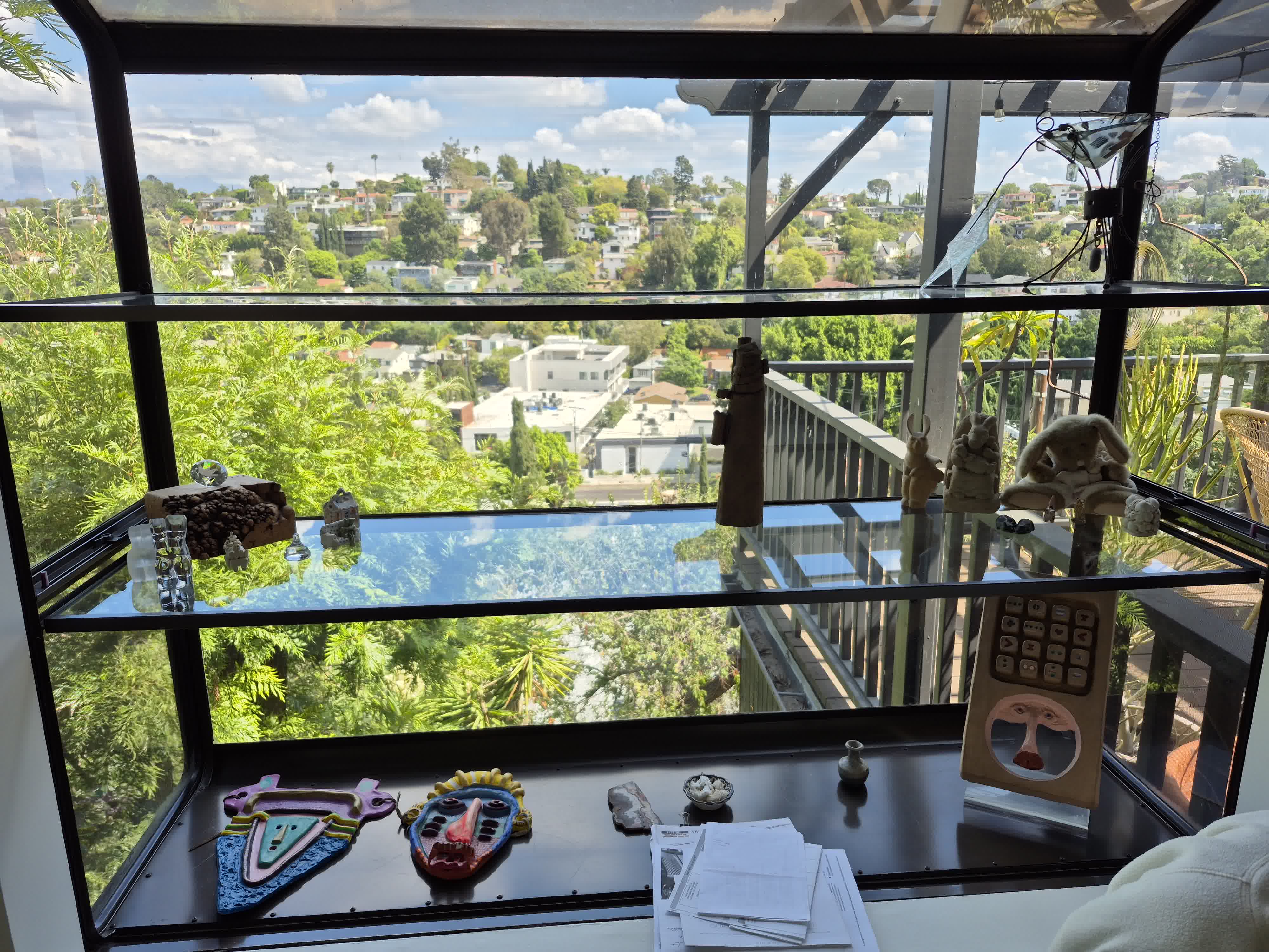 window cleaning house bushes